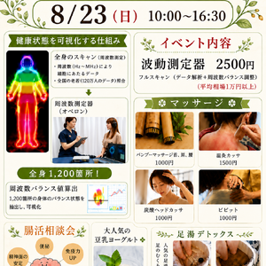 波動8月